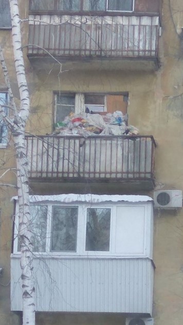 When too lazy to take out the trash - My, Garbage, Pigeon, Samara, Longpost