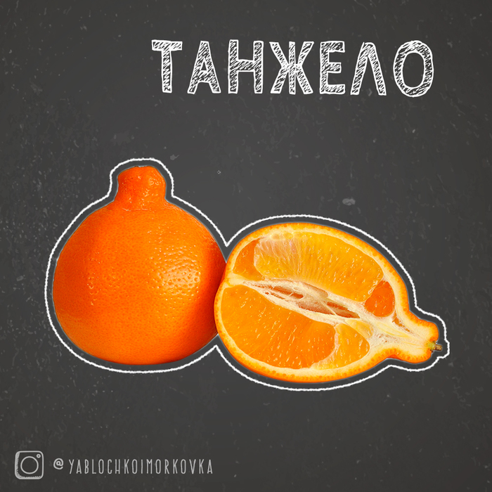 Tangelo - tangerine plus grapefruit! - My, , Vegetables and fruits, Healthy eating, Useful, Food, Longpost, Interesting, Vegetables