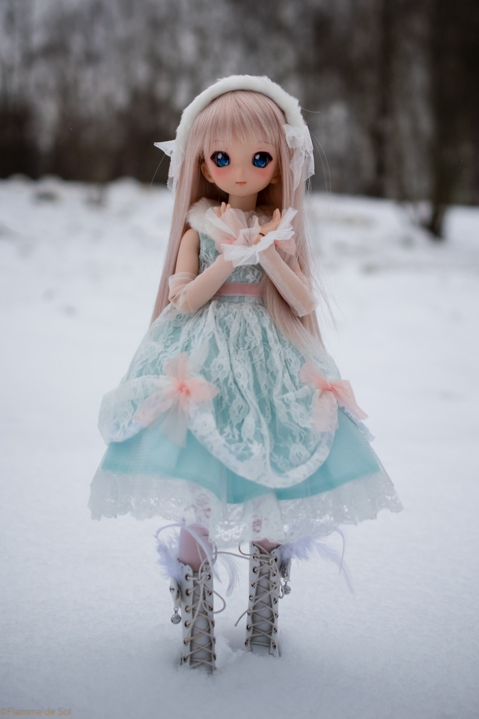 DollfieDream -   ,   ? Dollfiedream, Minidollfiedream,  , , , 