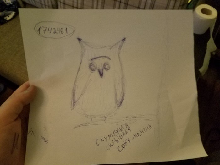 My drawings - My, Drawing, cat, Addiction, Depression, Owl, Madness, Longpost