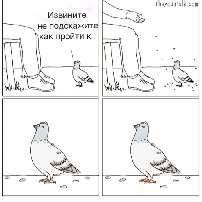 �� �������� �������. ����������.