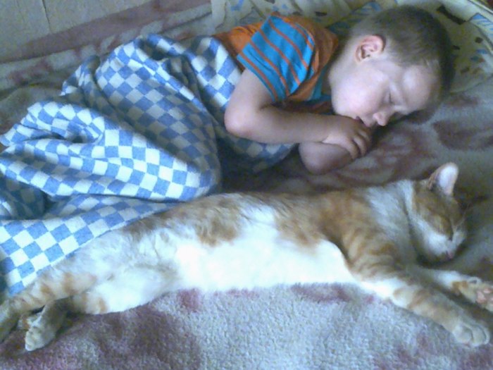 ������ ��� ����� ������)