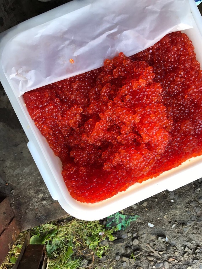 Red caviar IP Stupnitsky - My, Caviar, Red caviar, Siberian salmon, Pink salmon, Longpost