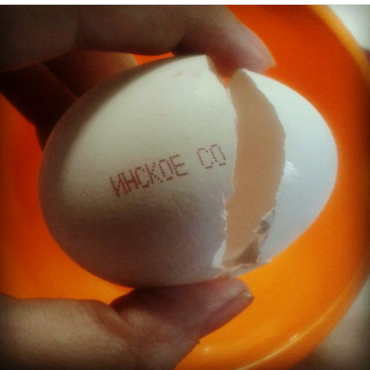 Inskoe :) - My, Humor, Inna, Eggs