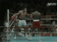 Не попадешь Бокс, Увернулся, Чемпион, Скилл, Гифка