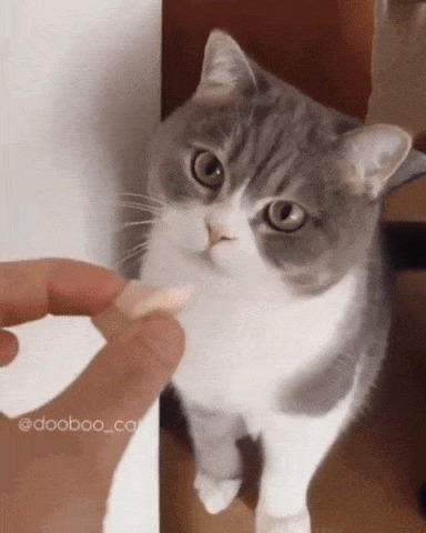 Не будь таким медлительным