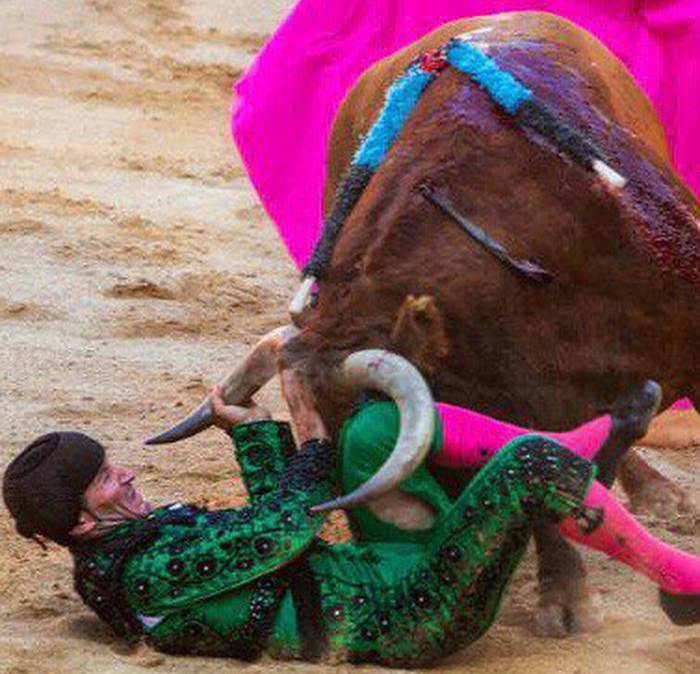 Matador vs Bull