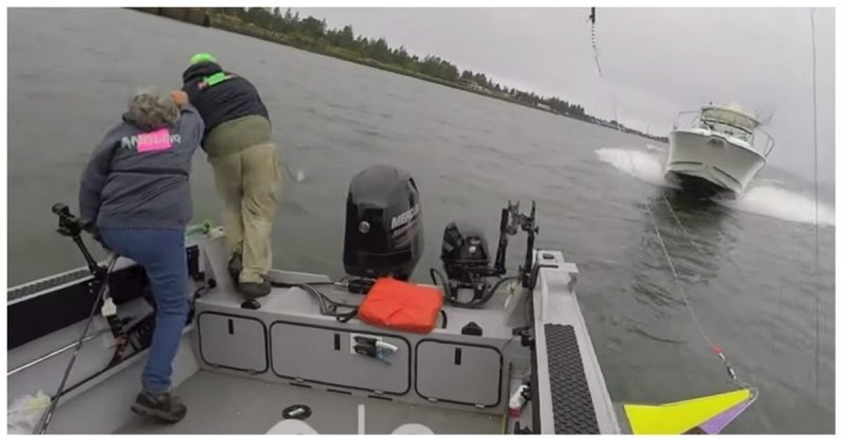 Маломерное судно «nissamaran 320ms». Юрьевец врезалась лодка. Пассажирский катер. В питере динозавр на катере спас девушку. Девушка на которую наехал катер.