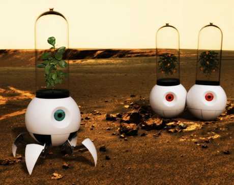 Scientists have developed vegetables that can be grown on Mars - Agronews, Scientists, Mars, Ireland, Vegetables, The culture, Cucumbers, Tomatoes