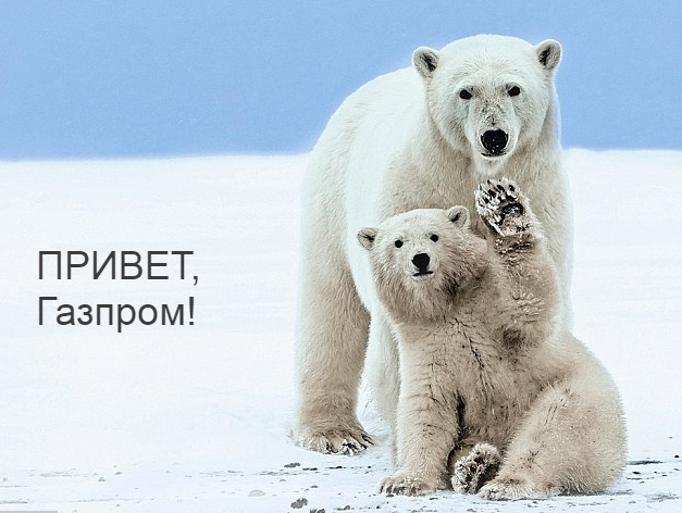 Grandfather Frost donated Gazprom shares? Sell! - My, Gazprom, Stock, Trading, Stock exchange, Longpost