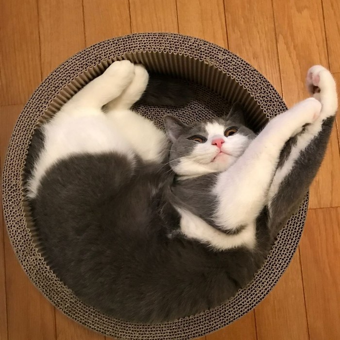 ��� ���������