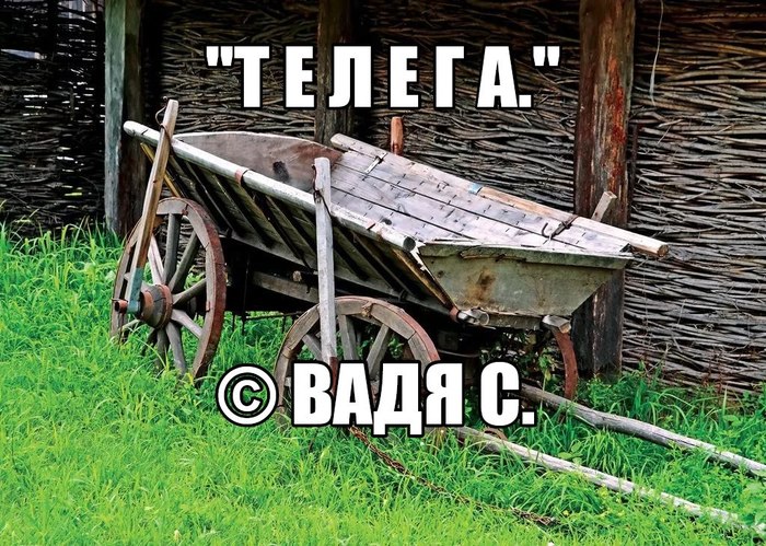 CART. - My, Subtle humor, Russia