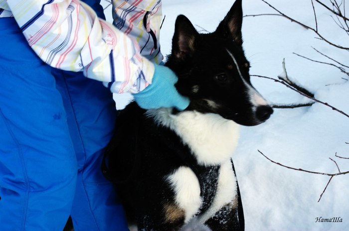 ������� ������ ������