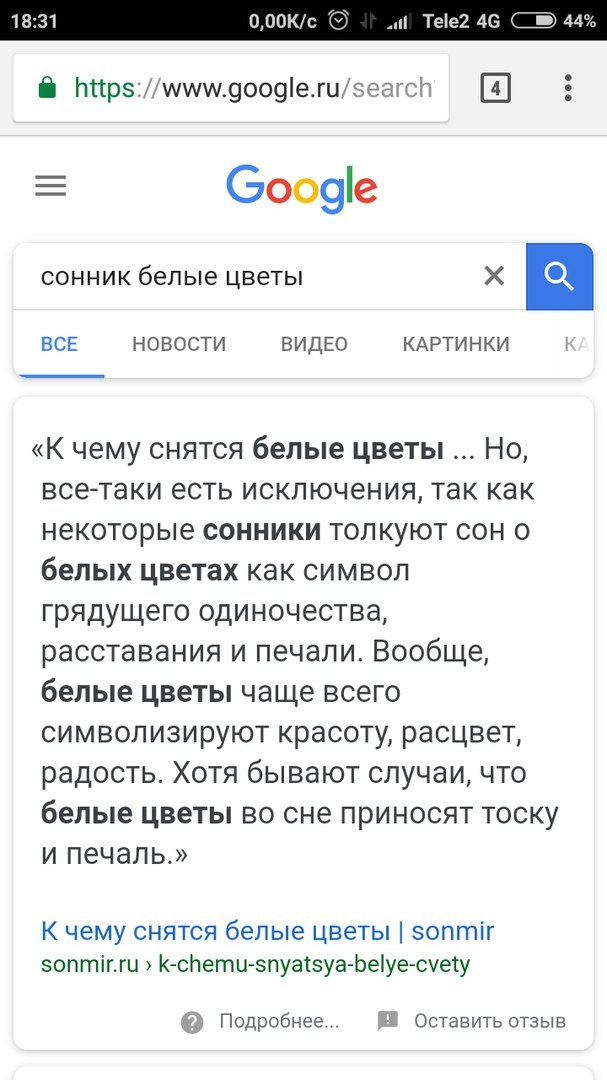 Когда решила почитать сонник - Моё, Сон, Сонник, Поисковые запросы