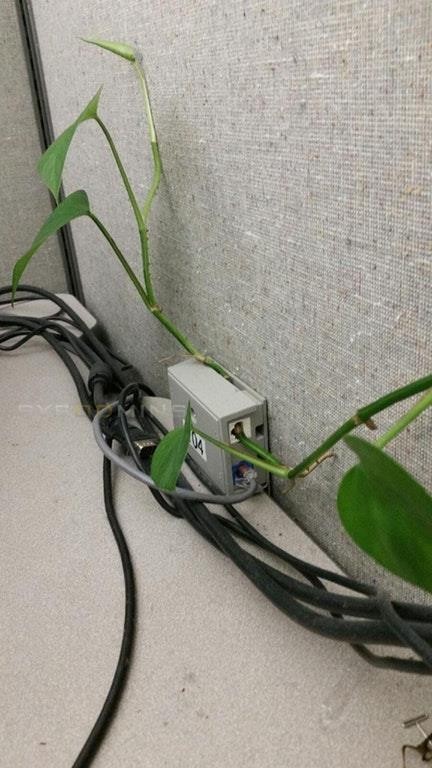 Power of nature - Not mine, Everyday life of a sysadmin