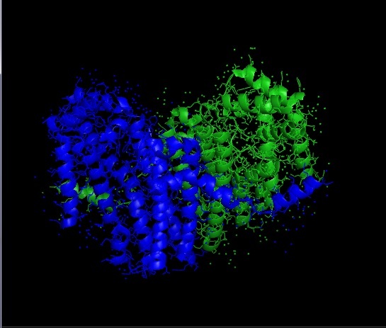 E. coli, yeast, splicing and all sorts of letters - My, Yeast, Genetics, Bioinformatics, Bioengineering, DNA, Protein, E. coli, Longpost