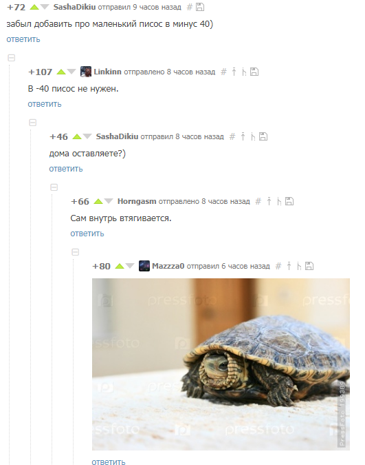 Внутрь втягивается - Комментарии на Пикабу, Комментарии, Неведомая хрень, Черепаха, Мороз