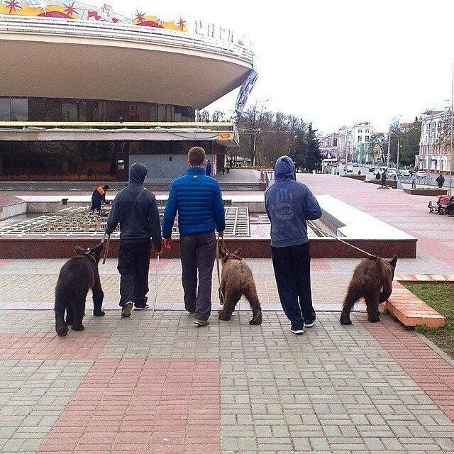 This is not Russia, baby - Gomel, Vodka bears balalaika, Circus