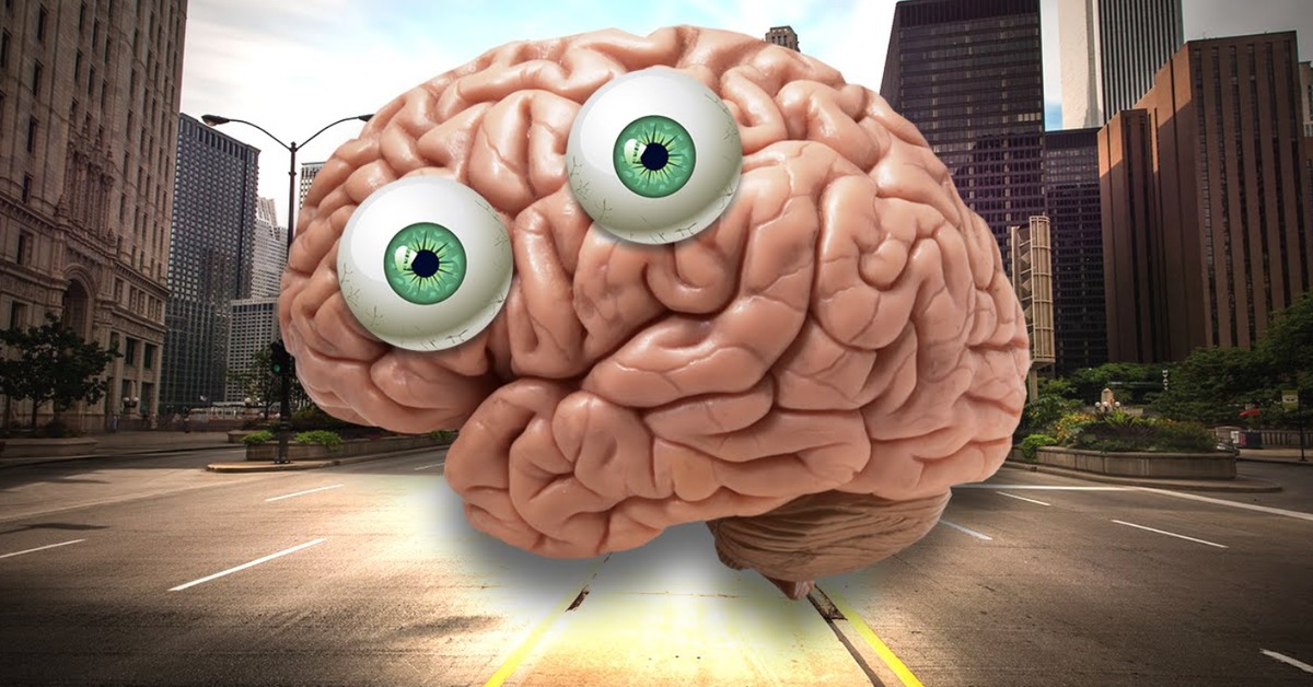 Картинка про мозг. Мозг с глазками.