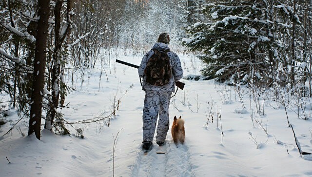 Near Saratov, a dog shot a hunter with a gun - Saratov region, Gun, , Russia, Text, Peekaboo, Dog