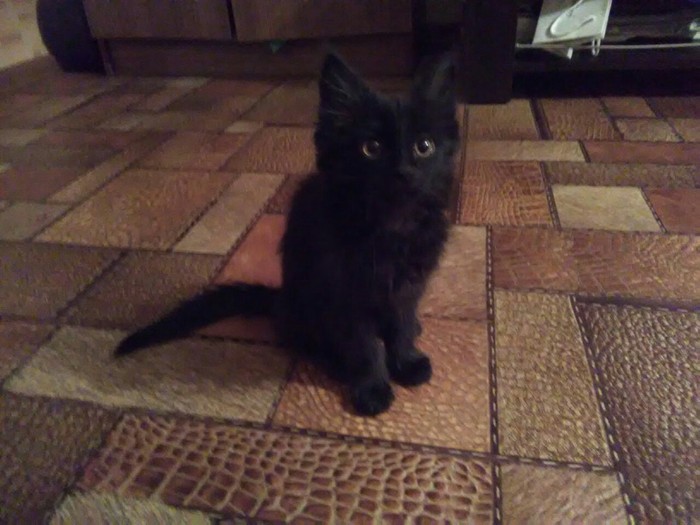 ���� �������