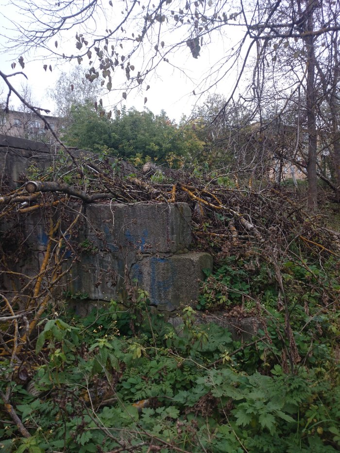 Vyazma - City of military glory. But the embankment of the Vyazma River on the street. Lieutenant Schmidt of this city. - Embankment, River, Vyazma, Devastation, Pollution, Indifference, Dump, Inaction of the authorities, Longpost