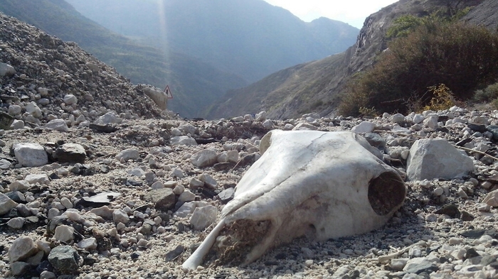 На обочине по дороге в Южную Осетию.