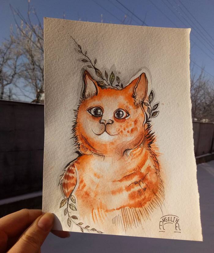 Kitten - red belly - My, cat, Art, Drawing, , Meow, Artist