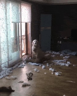 Хороший мальчик