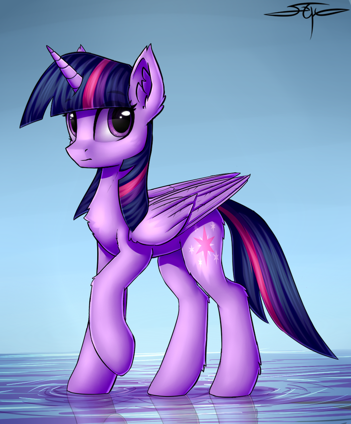    by Setharu My Little Pony, Twilight Sparkle, Setharu