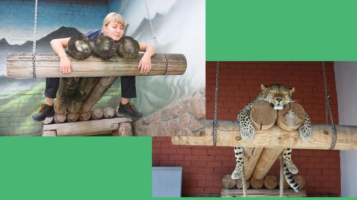 When people and animals communicate for many years (ChelZoo edition) - My, Chelyabinsk Zoo, Animals, , Longpost