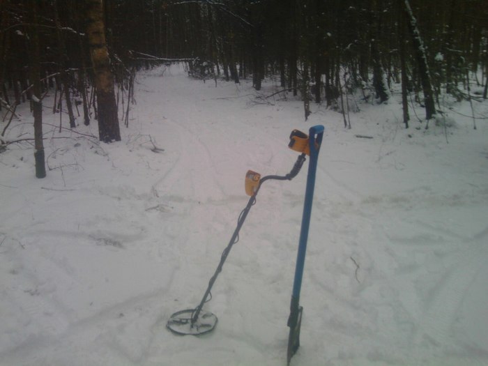 Forest. Winter 2018 - My, Nature, Metal detector, Coin, Longpost