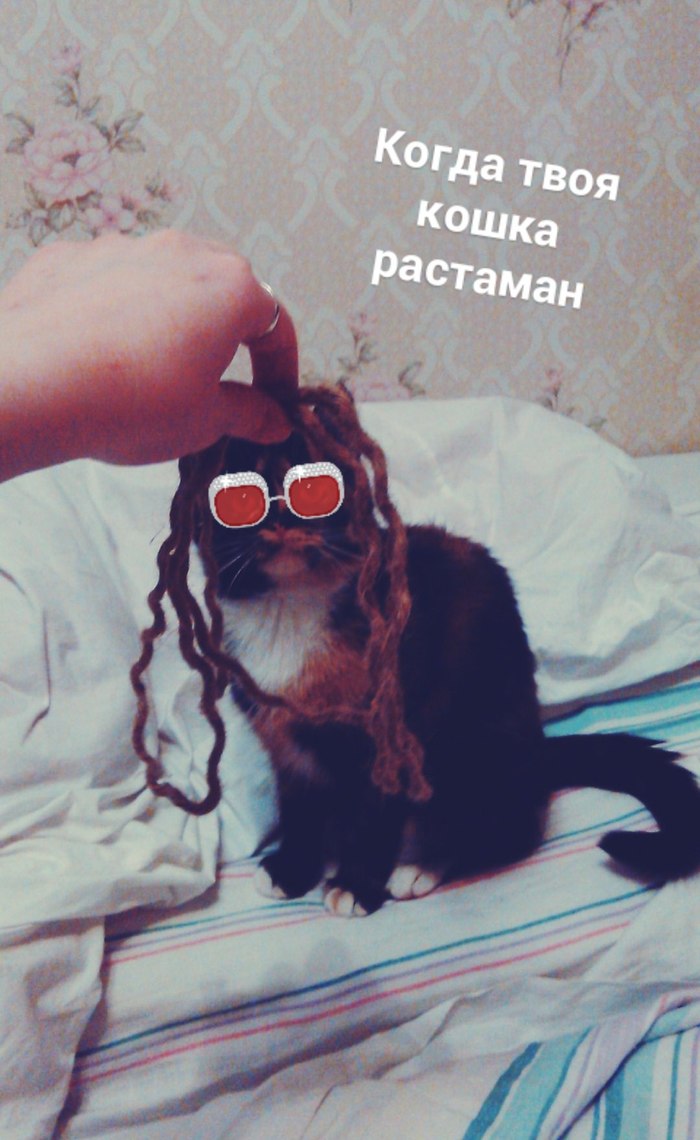   , , 