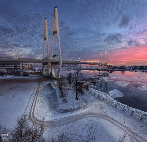 Evening St. Petersburg. - Saint Petersburg, Cable-stayed bridge, Winter, Evening, Neva