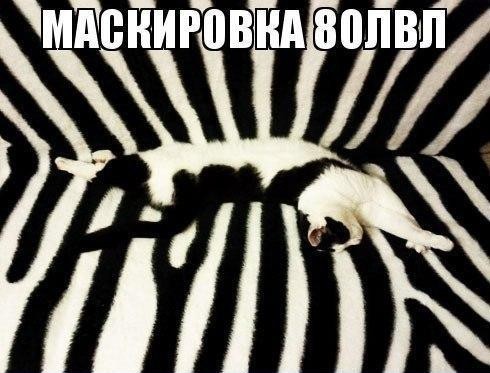 Old Russian game Find a cat :) - cat, Disguise, , Longpost