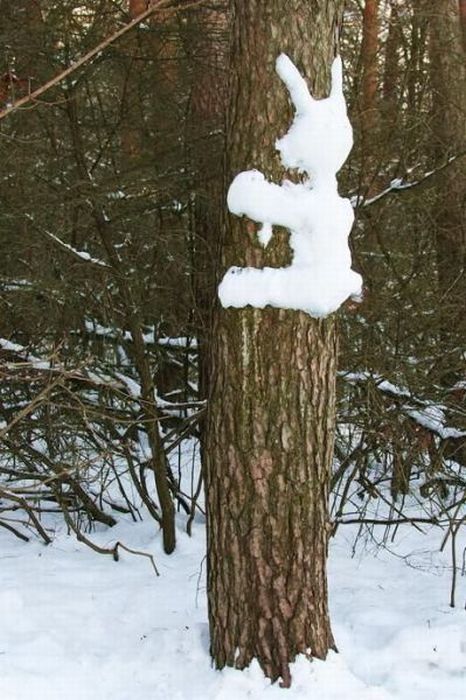 Bunny - The photo, Winter, Mood, Humor