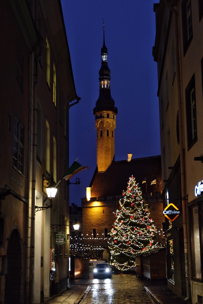 Tallinn before dawn - My, Tallinn, Estonia, Baltics, Travels, Europe, Christmas, New Year, The photo, Longpost