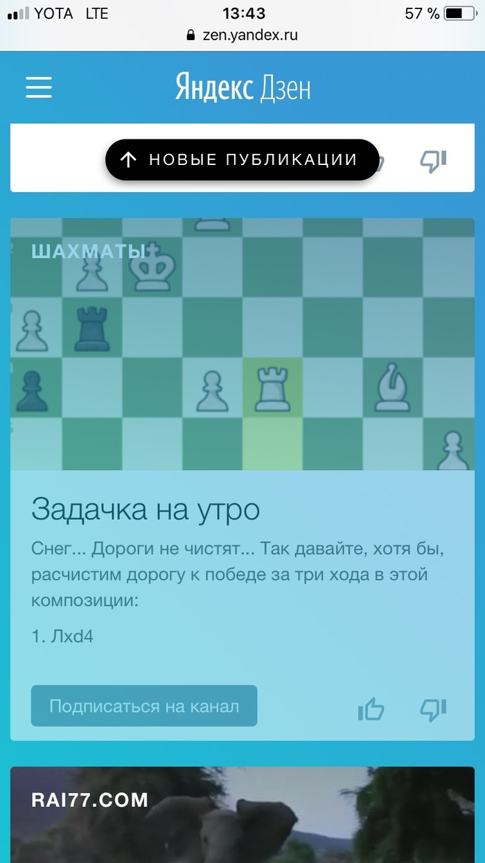 ХРЕНЬ КАКАЯ ТО! - Неведомая хрень, Моё, Длиннопост, Яндекс хренандекс