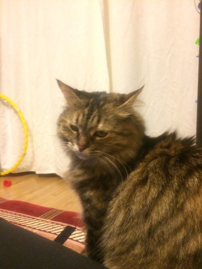 Журналы. Чем дело закончилось.