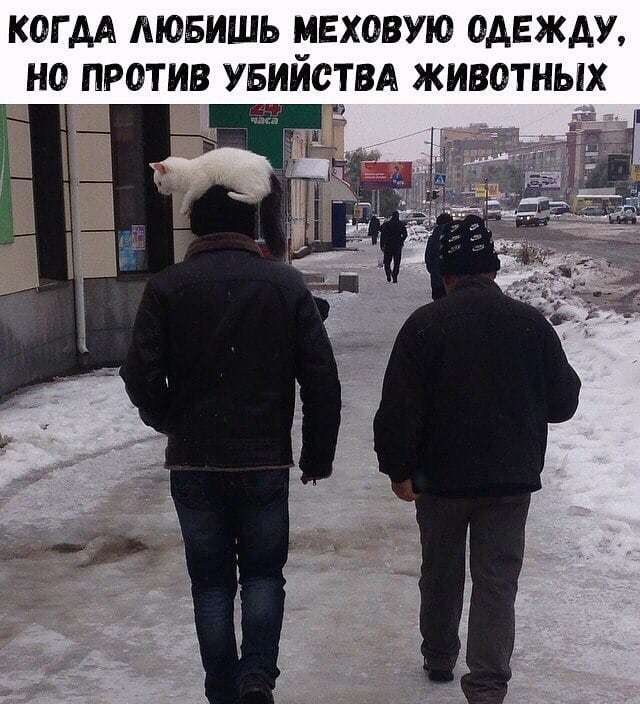    ,   , , 
