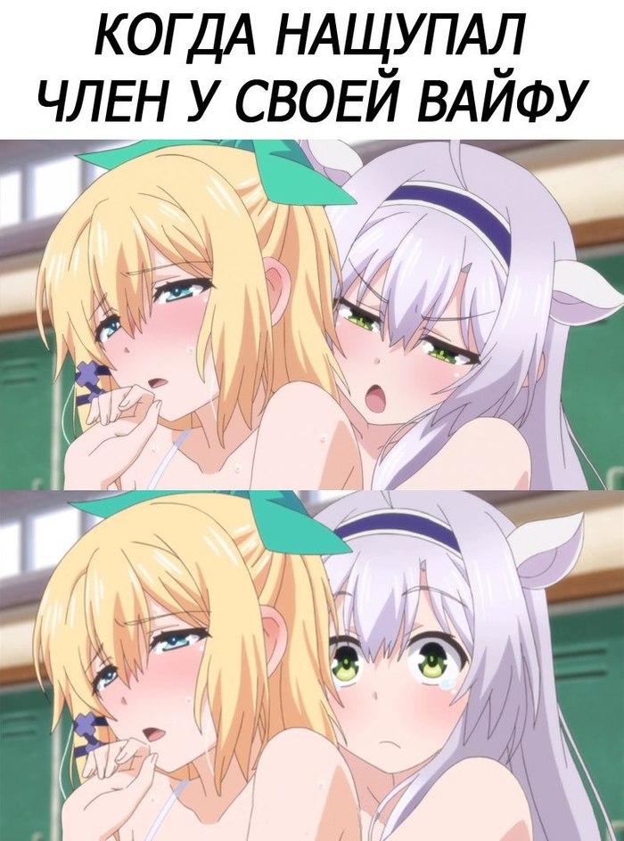 Что такое dunk memes. Смотреть фото Что такое dunk memes. Смотреть картинку Что такое dunk memes. Картинка про Что такое dunk memes. Фото Что такое dunk memes