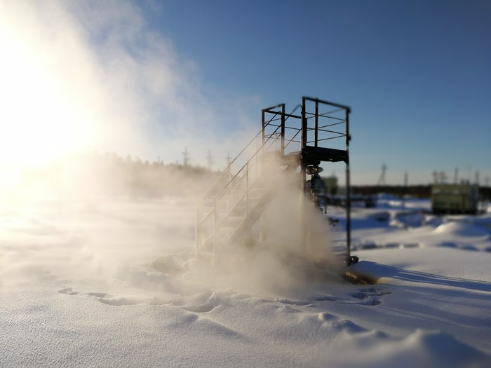 Interesting shot - My, Photo on sneaker, Well, freezing