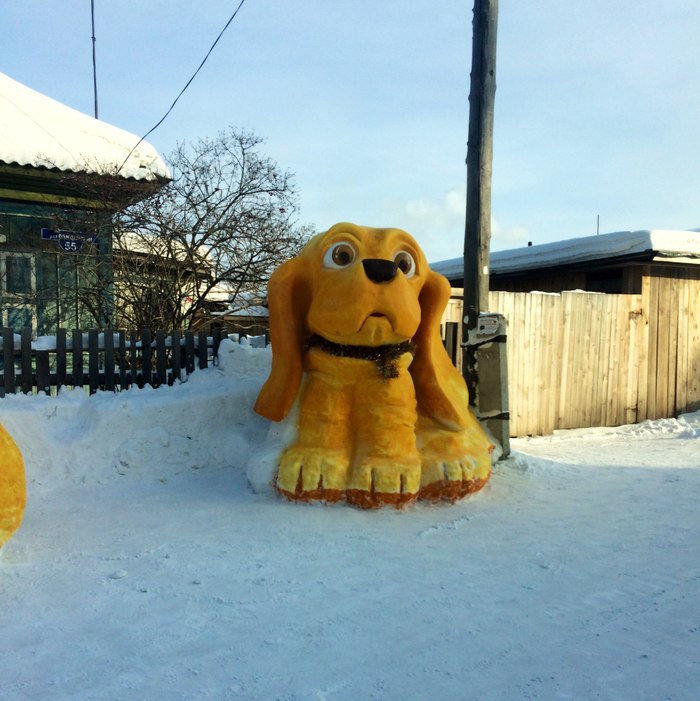 Yolk) - Puppies, Snow, Straight arms, Lesosibirsk, How alive