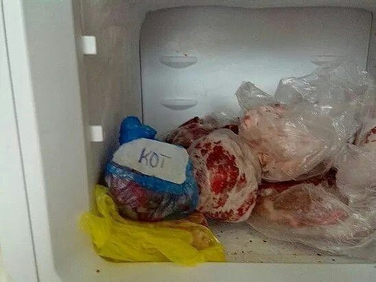 Opening the freezer, I was very scared for a member of our family ... - cat, Freezer, Meat, From the network