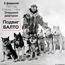 Feat Balto - Baltic, Diphtheria, Dog sled
