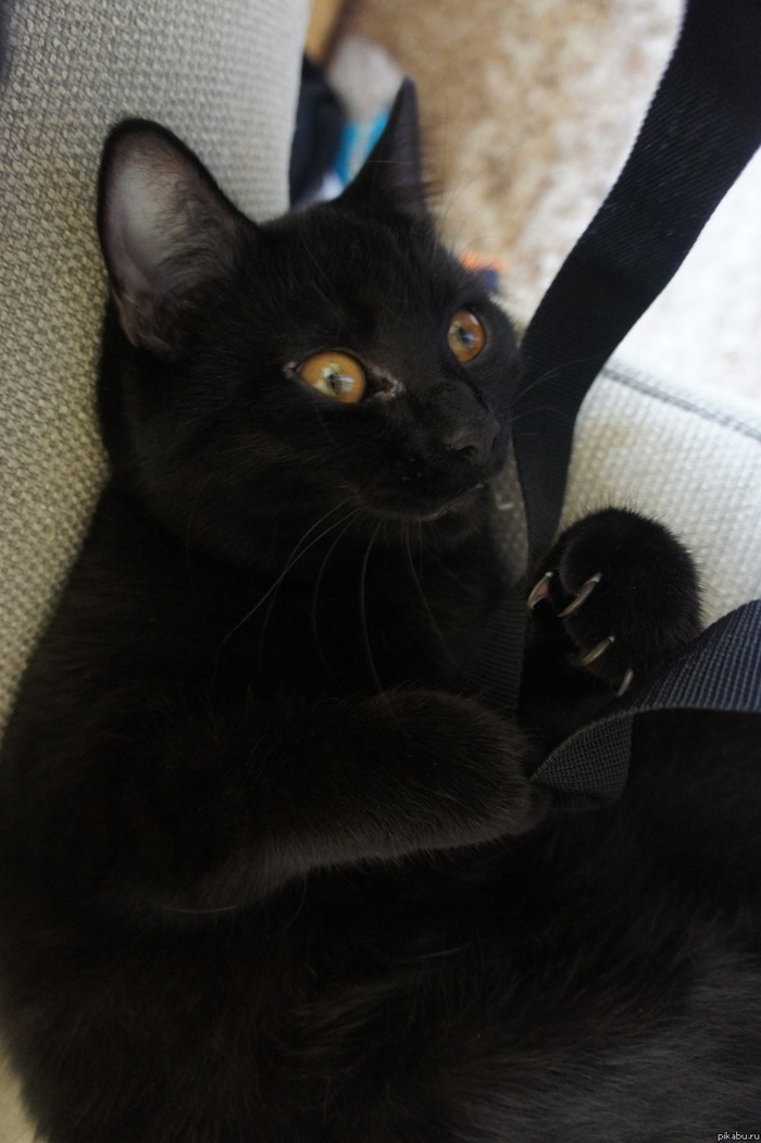 ����� �������� ���-�� �������� >:3