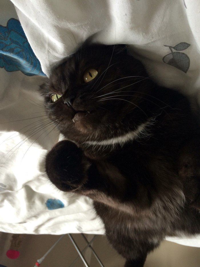 ����� �������� ���-�� �������� 2