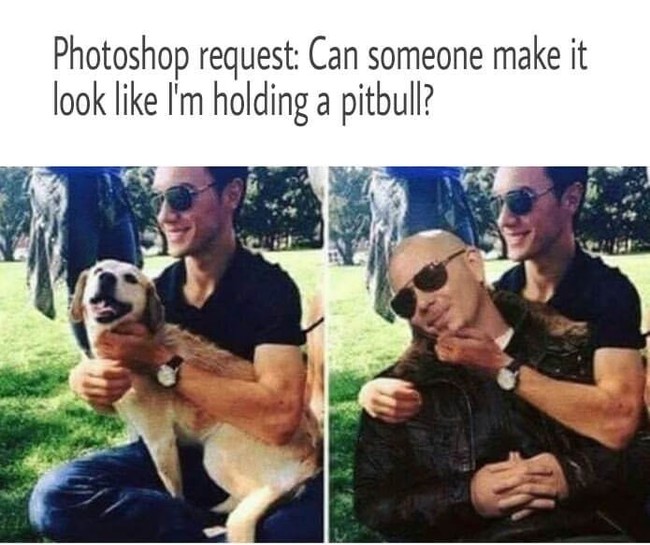  Photoshop, Pitbull