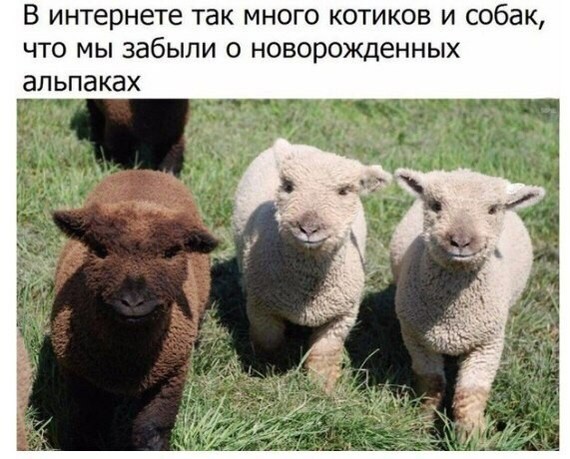 �������������