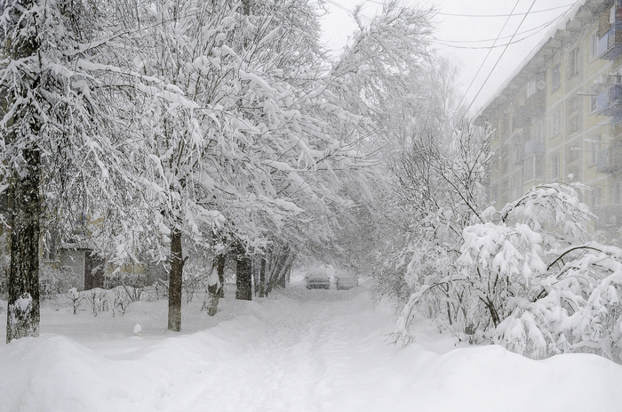 Snowfall in the suburbs - My, Snowfall, Moscow region, Winter, 2018, Longpost